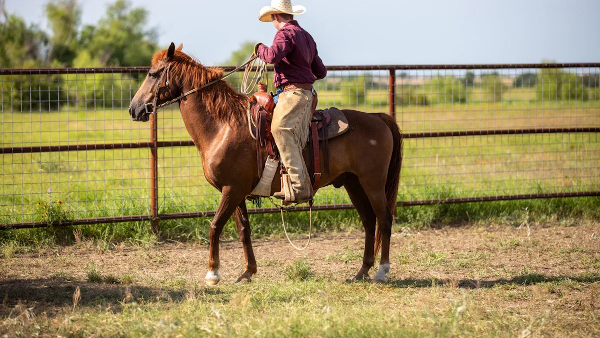 Why Texas Is a No-Fault Divorce State and What It Means for You