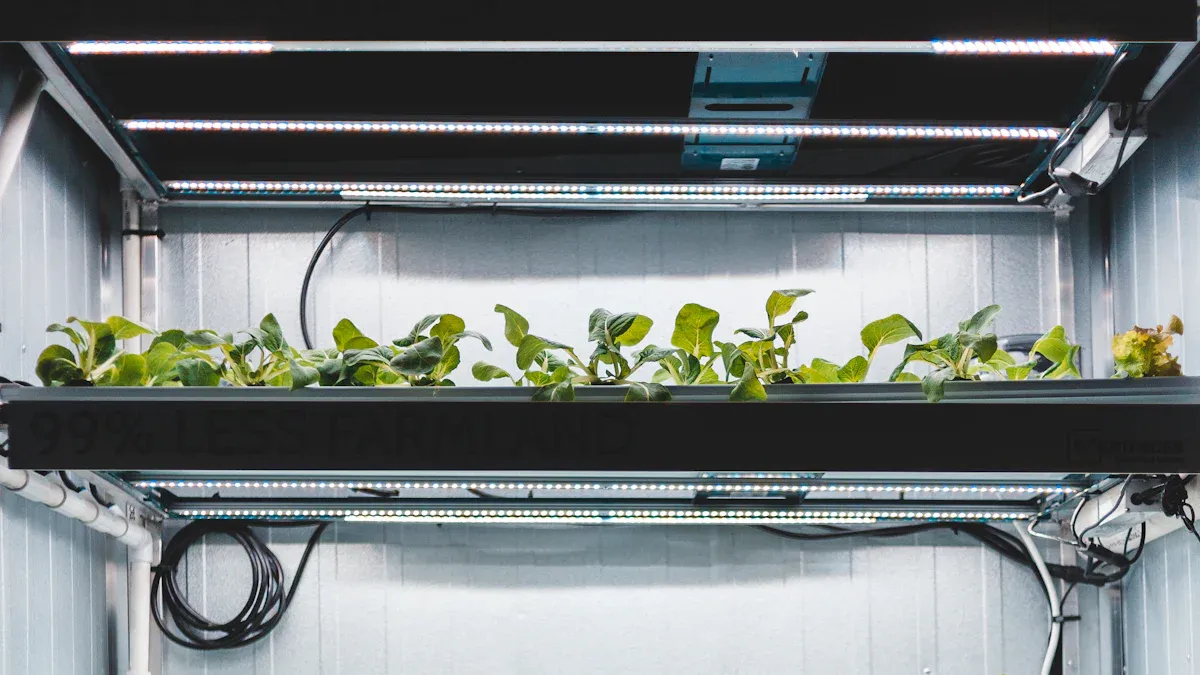 Practical Applications of LED in Agriculture