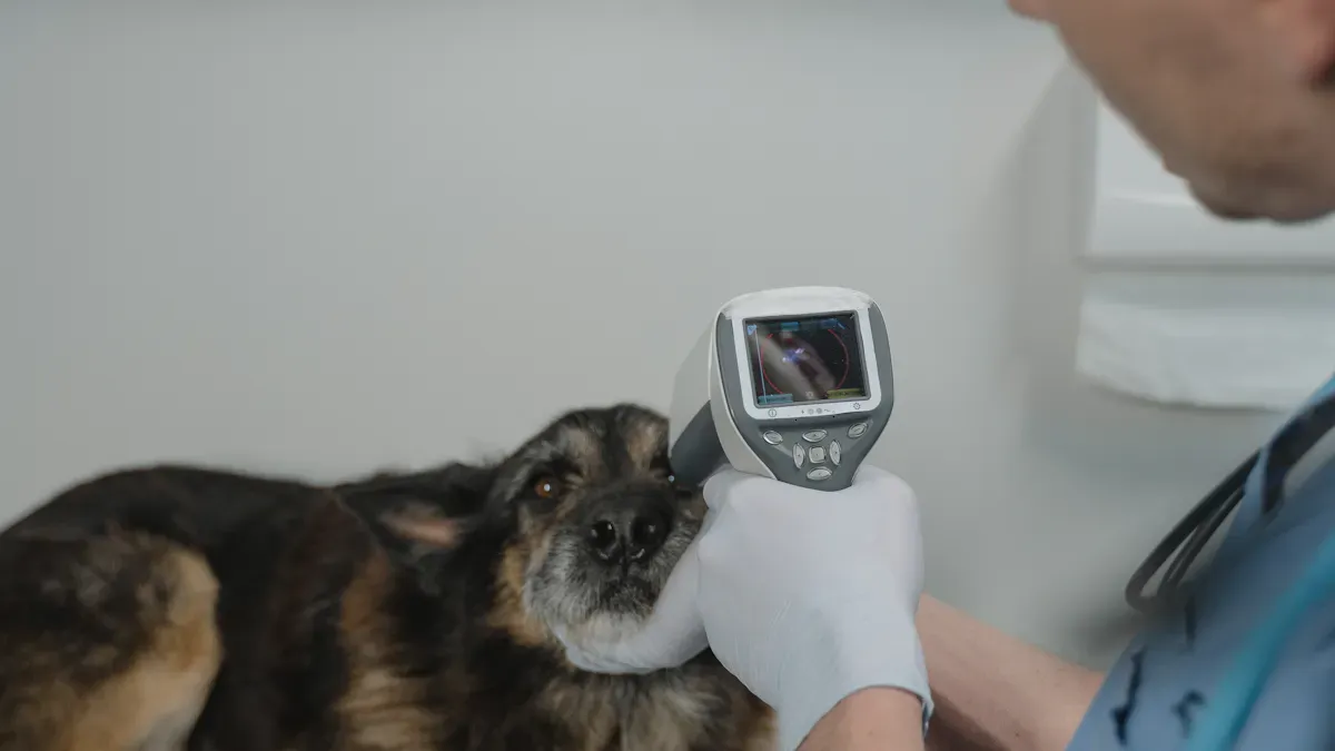 Owner checking hip brace fit and skin contact points after removal