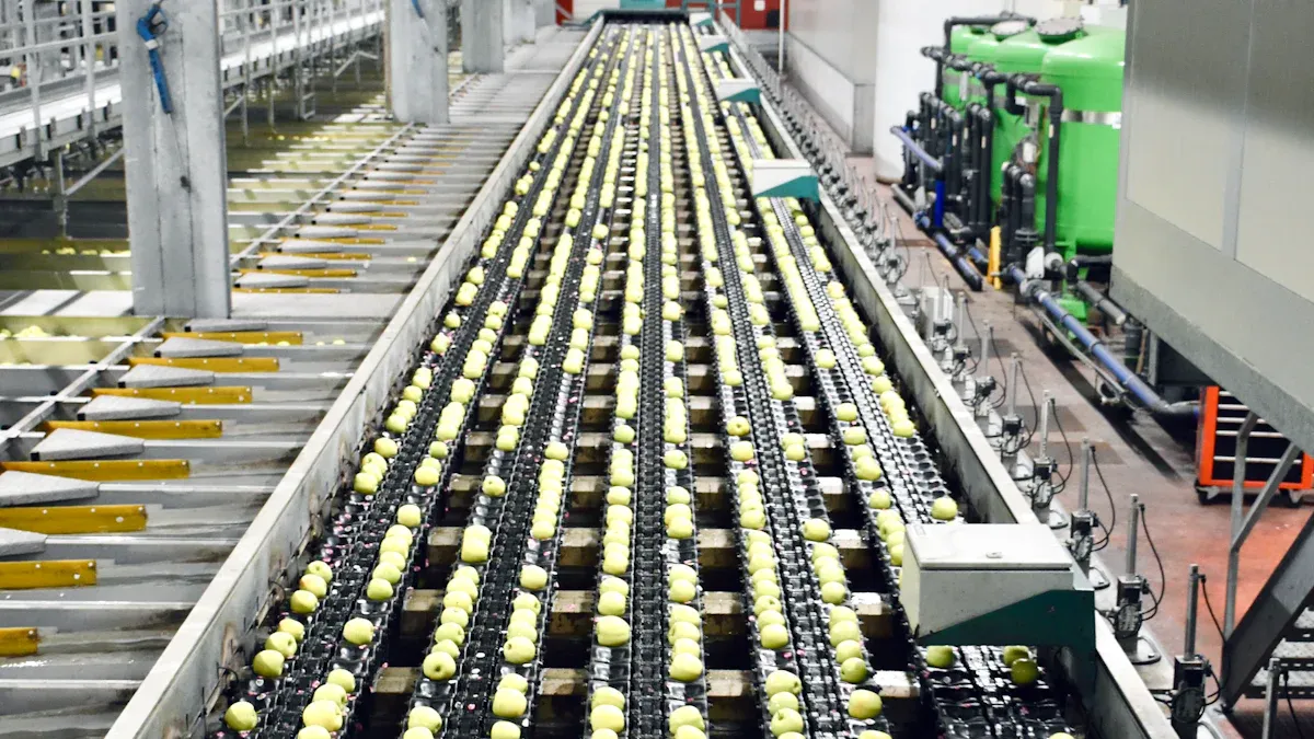 Salt Packaging Machine