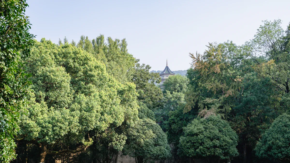 Sustainability and Ethical Practices