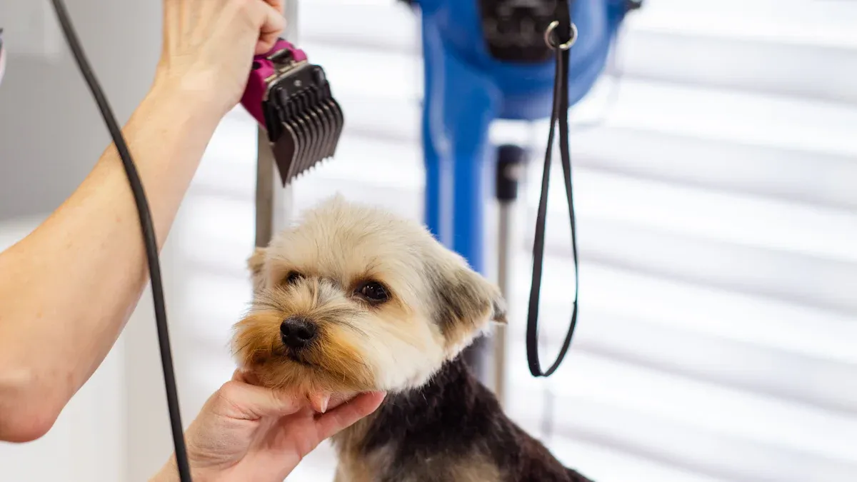Define Your Pet Comb Requirements