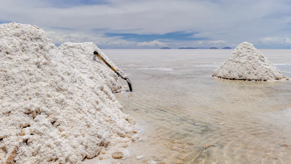 Sodium Ion Battery vs. Lithium-Ion