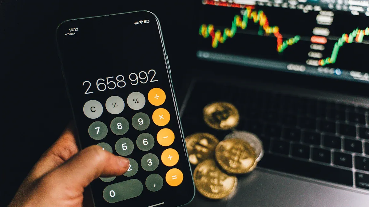 Main Limitations and Risks