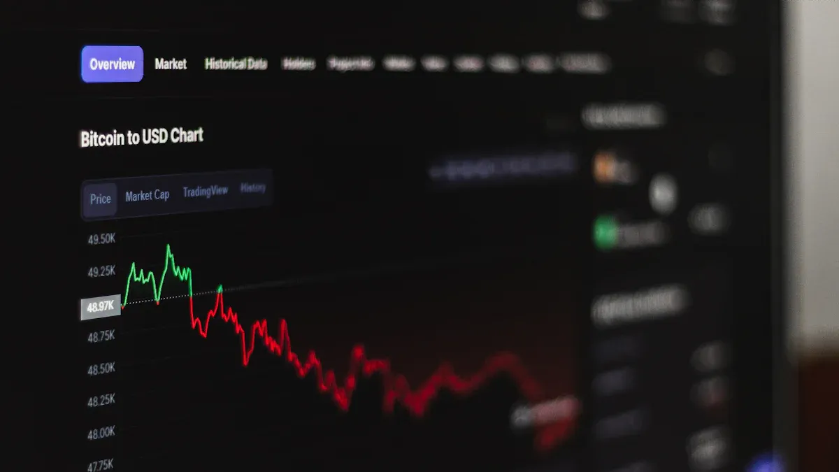 Risks and Challenges of Meme Coins