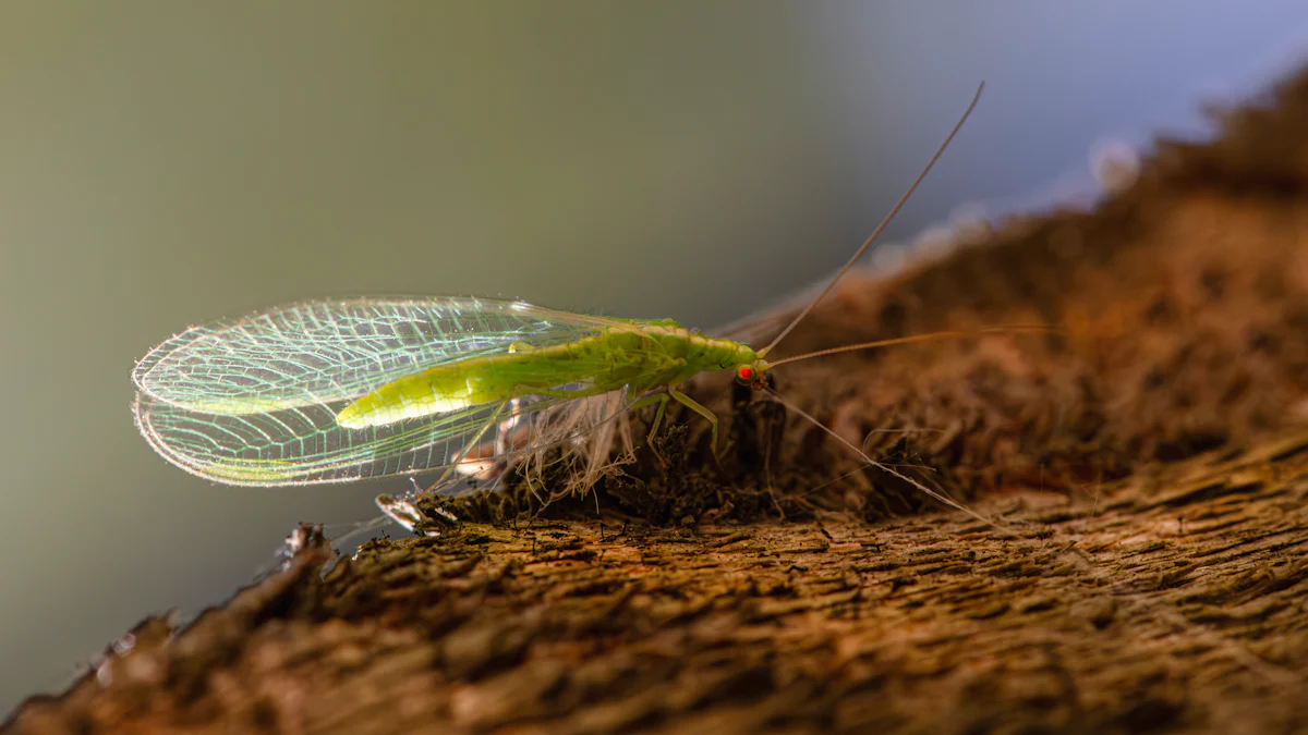 Bulk Ordering CNC Aluminum Components for Maximum Savings