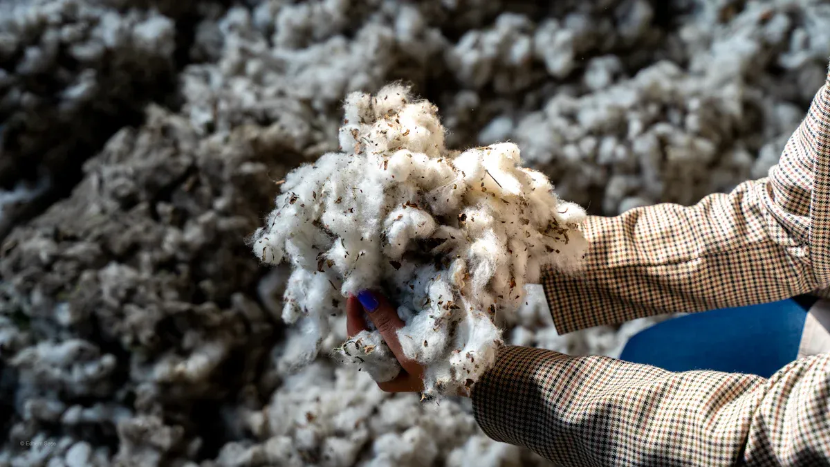 Ethical and Sustainable Sourcing
