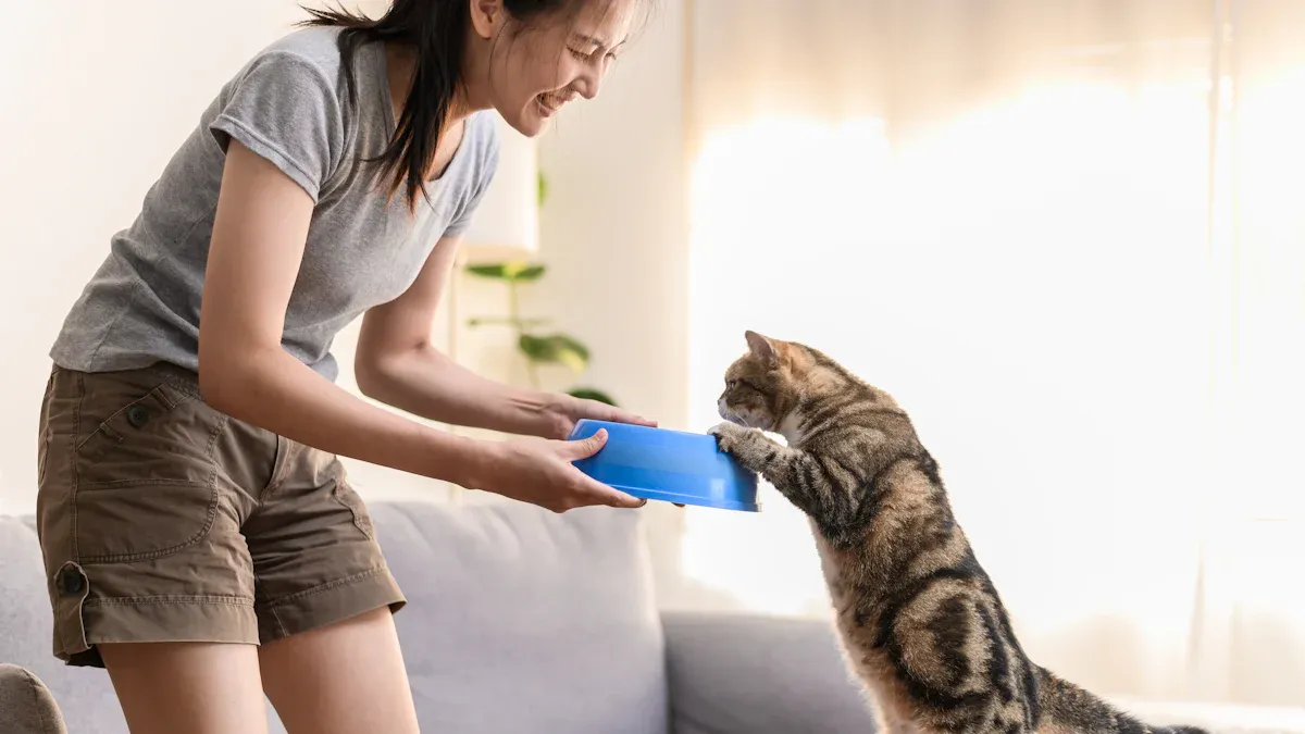 Top 12-Piece Cat Starter Kits Every New Owner Needs in 2025