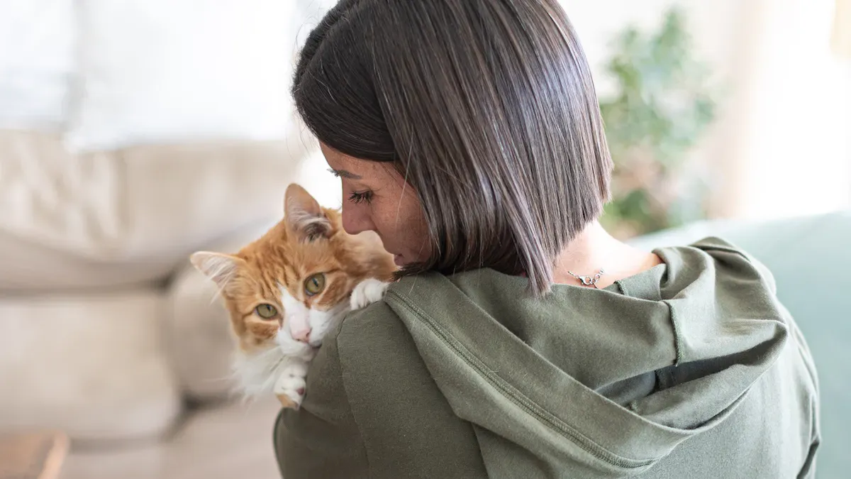 Pinyang Clothing Complete Guide to Embroidery Hoodie Customization