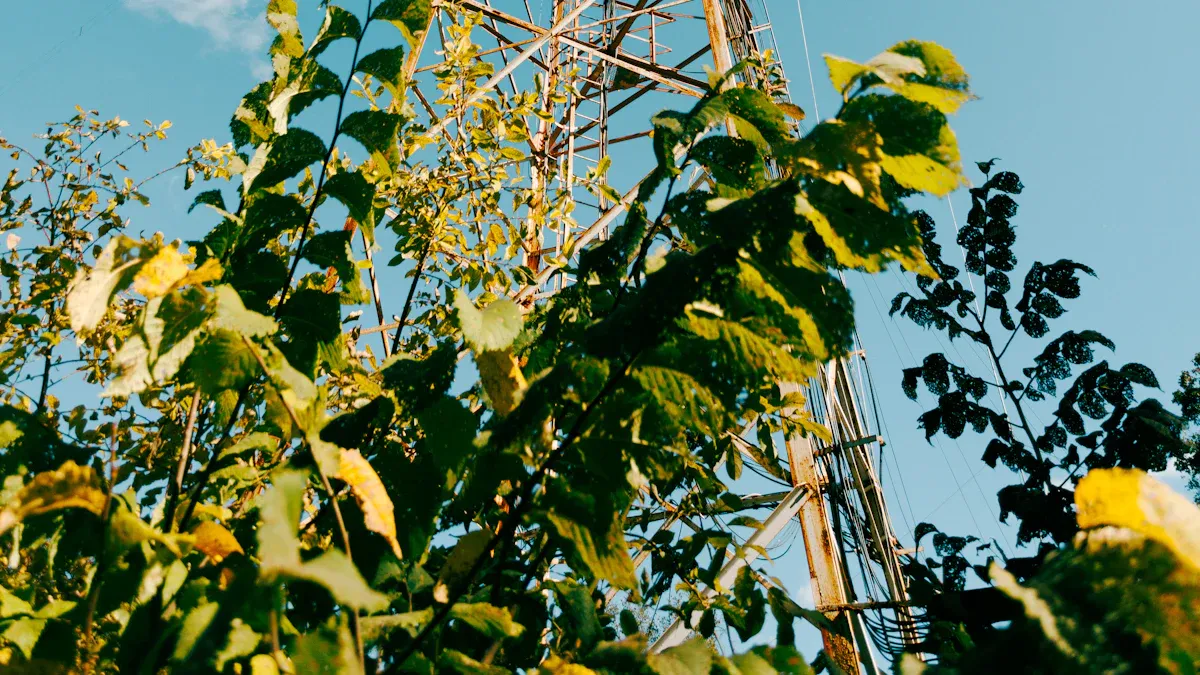 Carbon Footprint Basics in Telecom Cabinets