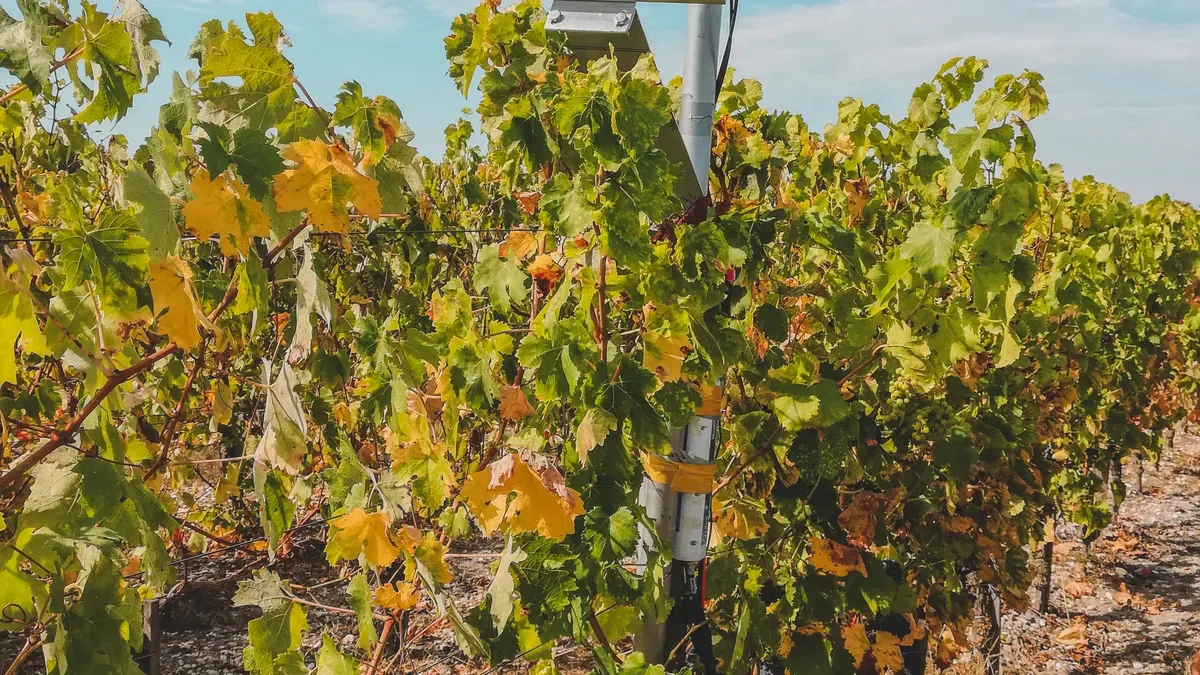 Ready for 2026? Telecom Rectifier Systems Deliver Off-Grid Solar + Mains Hybrid Power to Agricultural IoT Nodes