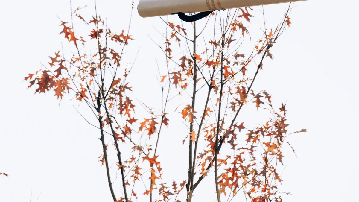 Environmental Considerations for Outdoor Applications