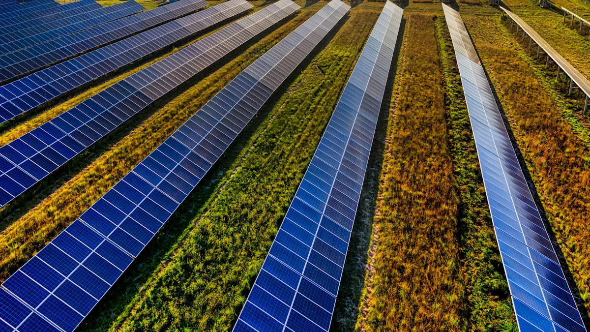 Cost & Grid Savings