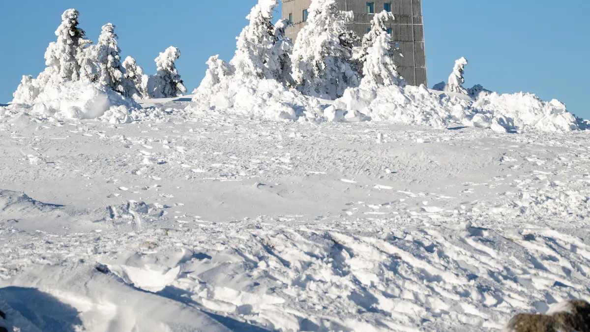 Environmental Challenges in Polar and Desert Regions