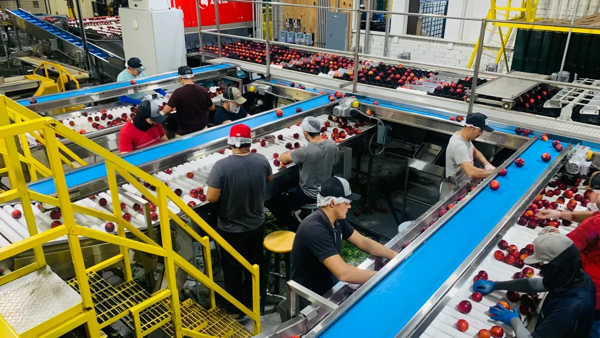 Streamlined Management With a One-Stop Service