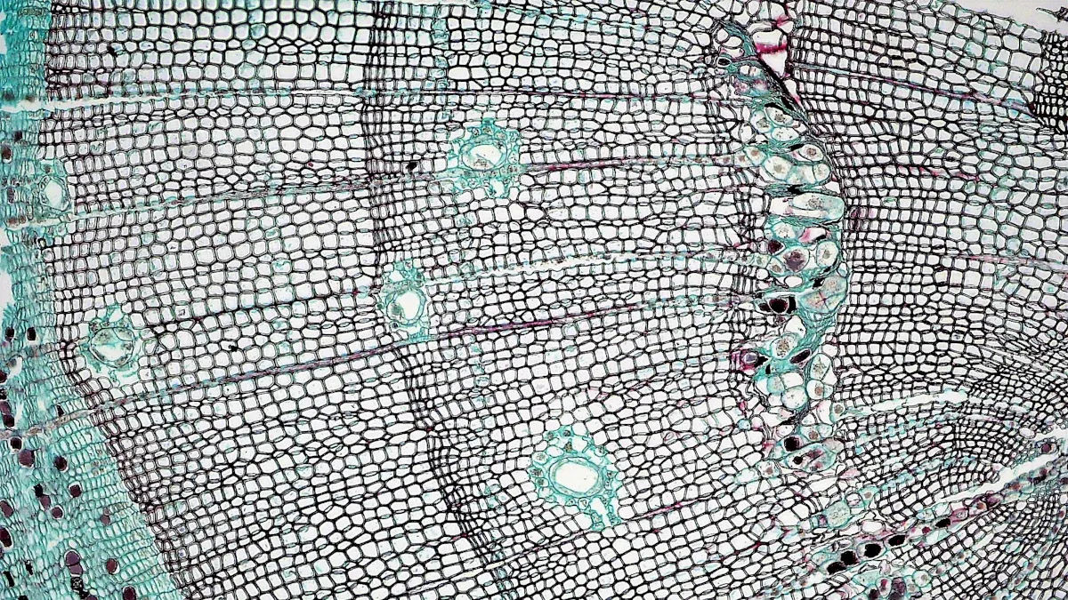 Traditional Membrane Switch Overview