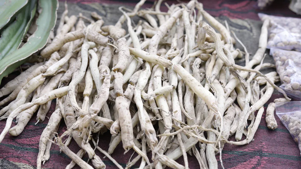 花旗參的使用實例與成功案例