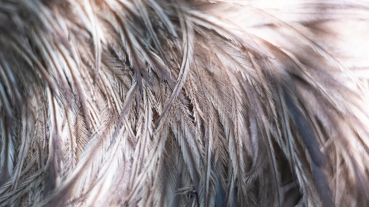 Color and Pattern in Raccoon Faux Fur