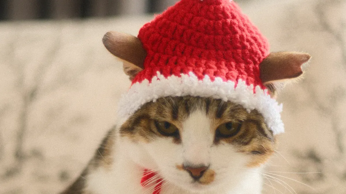 Crochet Cat Hat Pattern Trends