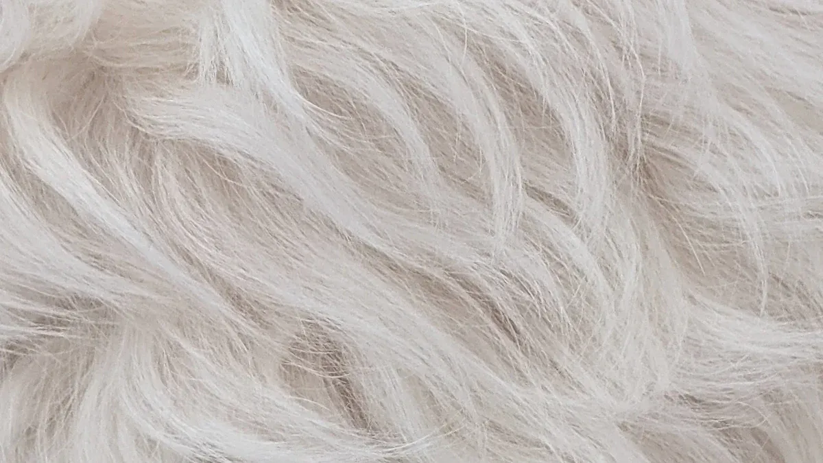 Comparing Astrakhan Fur: Appearance, Feel, and Ethics