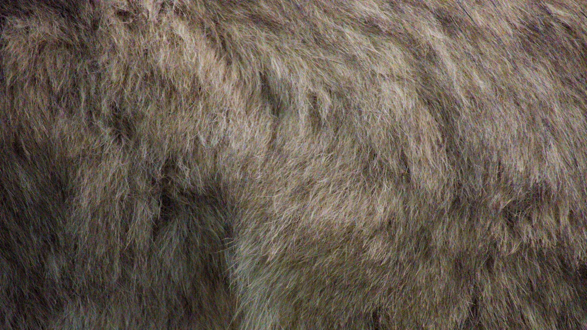 Overlooking Synthetic Mink Fur Quality