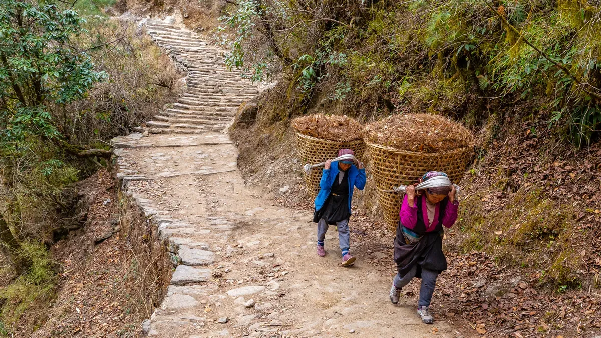 Why Regional Adaptation Matters