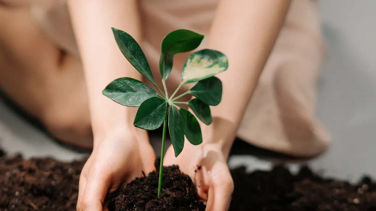 Soil Health Impact