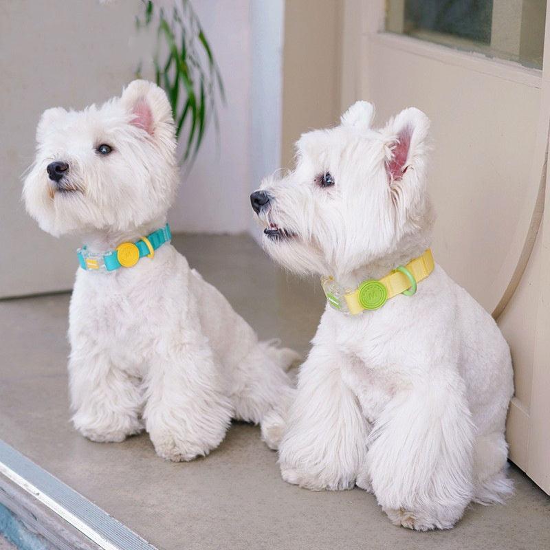 Care and Sizing Tips for Waterproof Collars