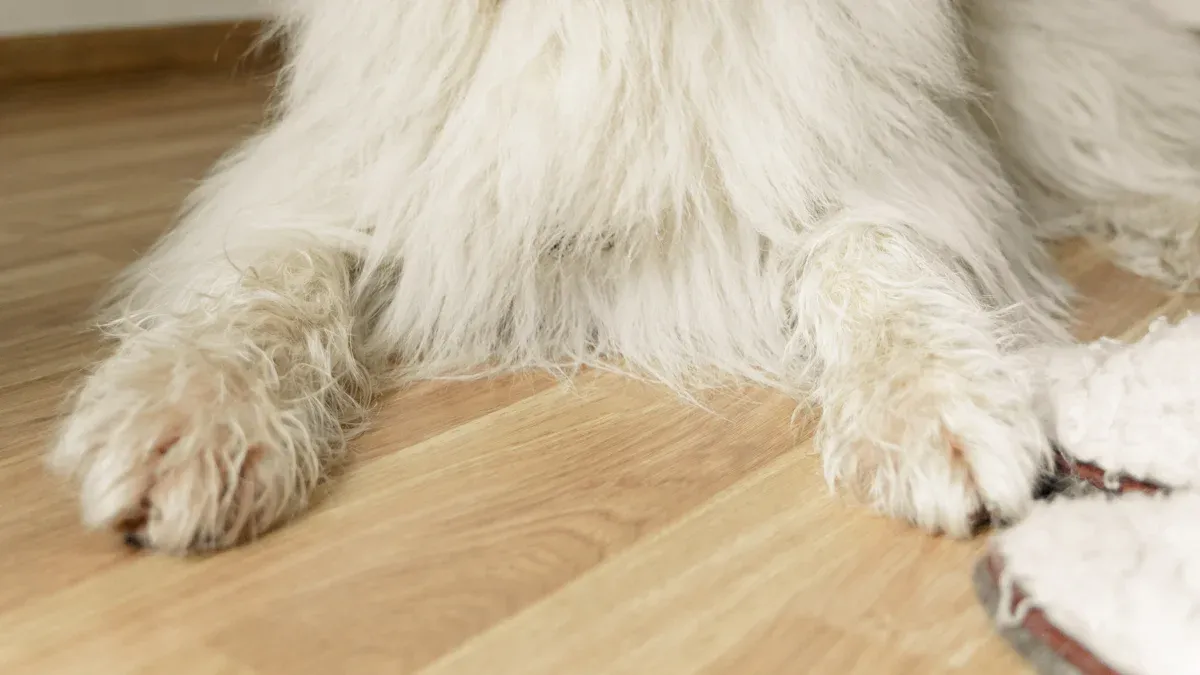 10 Best Cat Hair Cleaning Kits for a Fur-Free Home