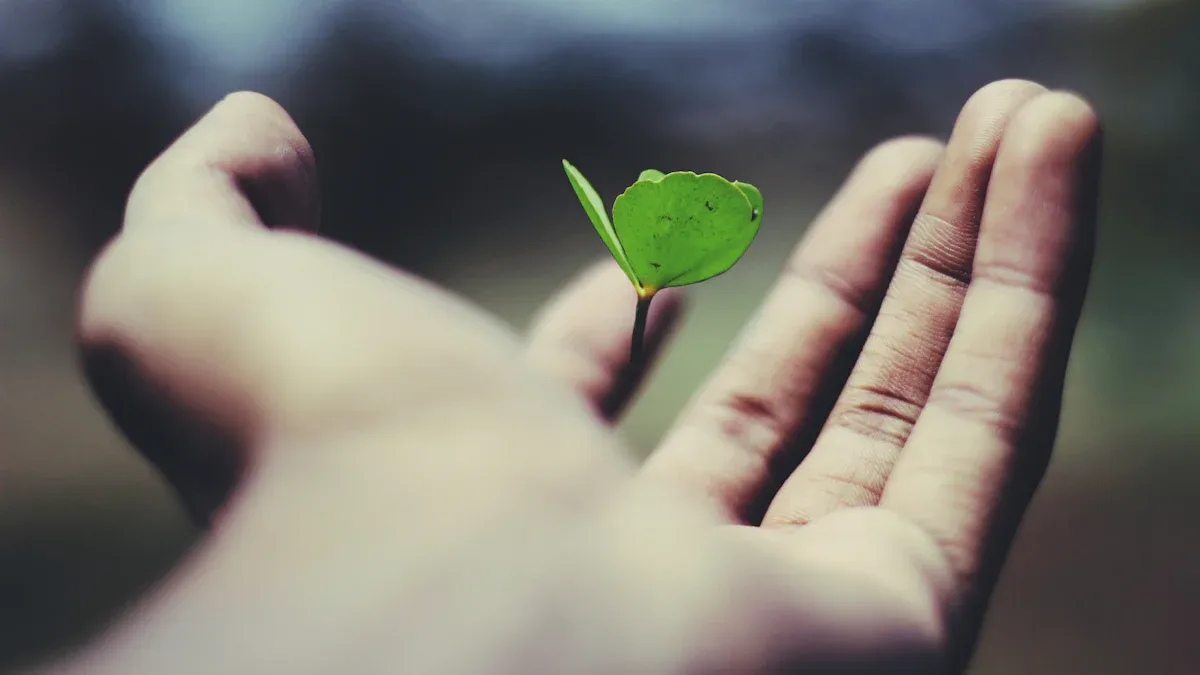 The Art of Self-Awareness
