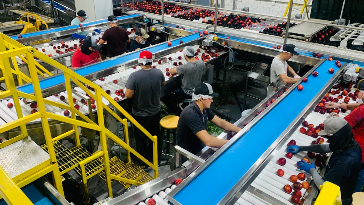 Cara Membuat Contoh Laporan Produksi Harian yang Efisien di Perusahaan Manufaktur