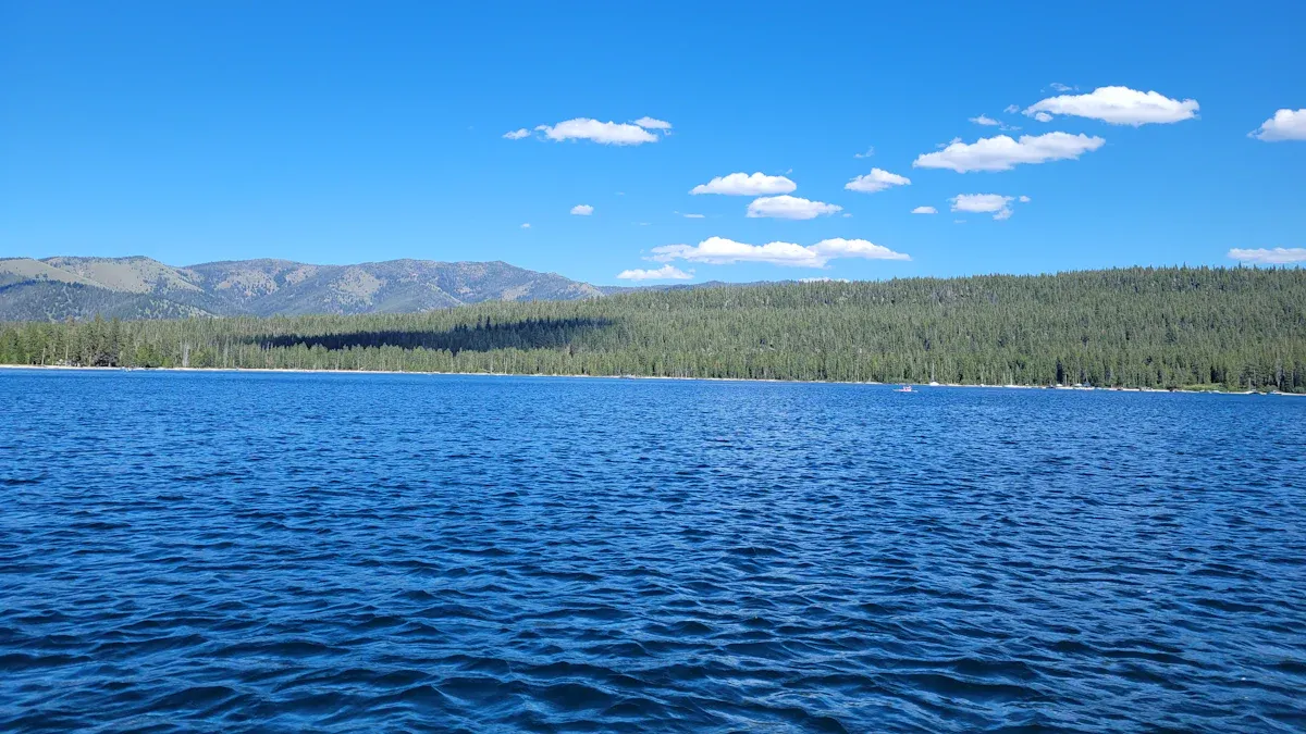 What is a Data Lake Companies and why it matters