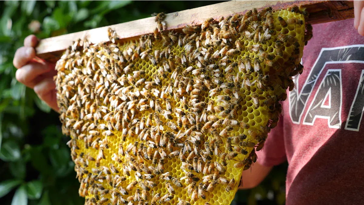 The Science Behind Men’s Honey: Natural Ingredients That Support Energy and Libido