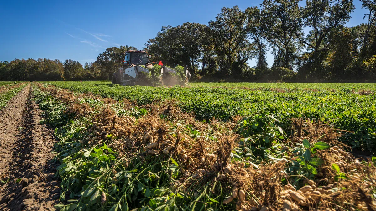Desafíos de la productividad agrícola
