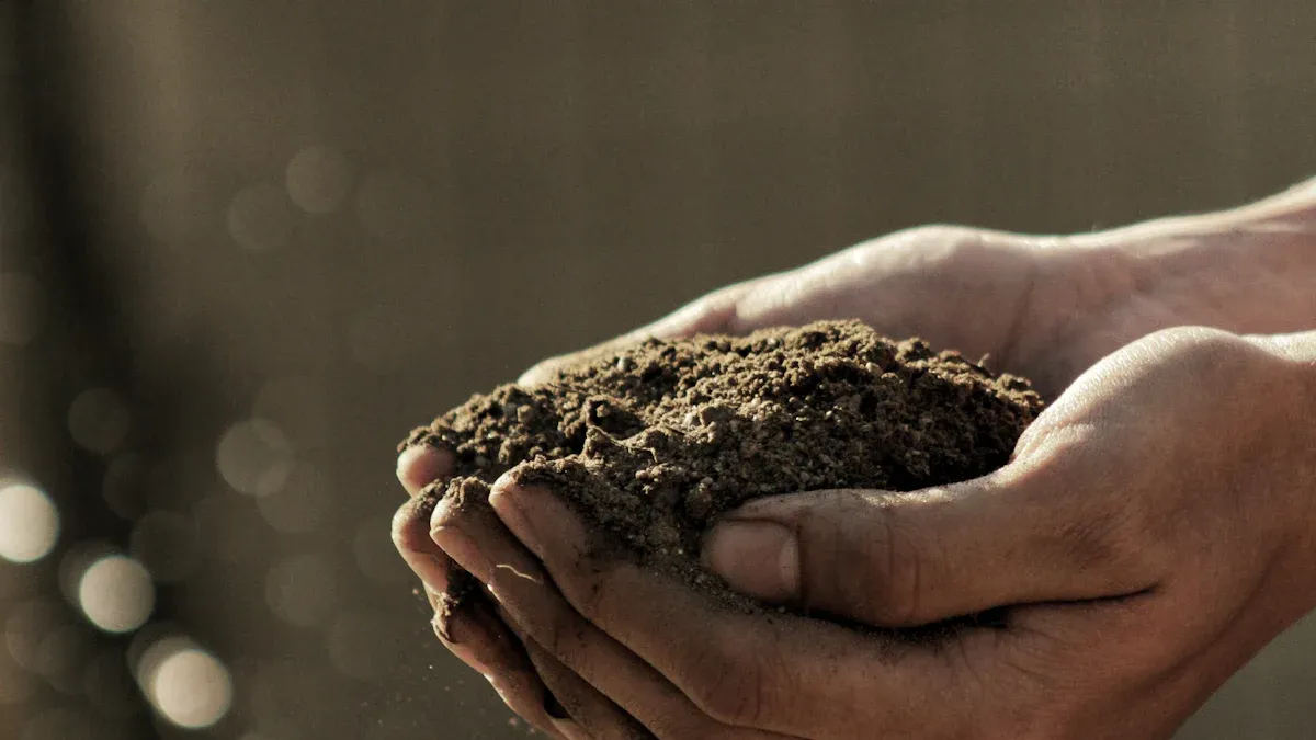 Environmental Impact