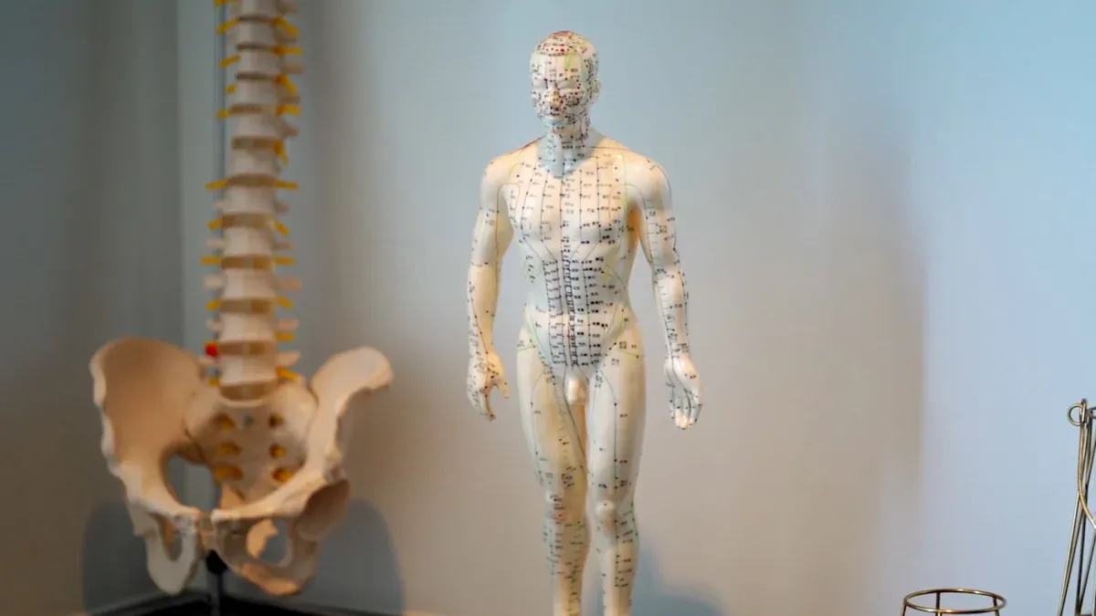 Cortical Button Fixation Explained