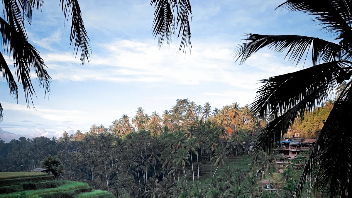 2. Bali Safe Storage