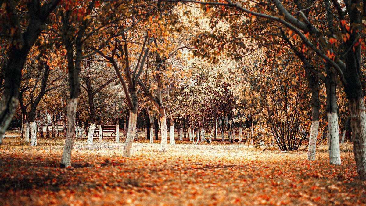 서비스 정의 및 필요성