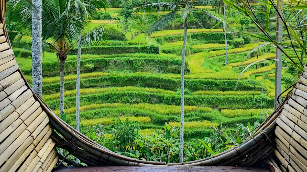 Popular Locations for Storage Units