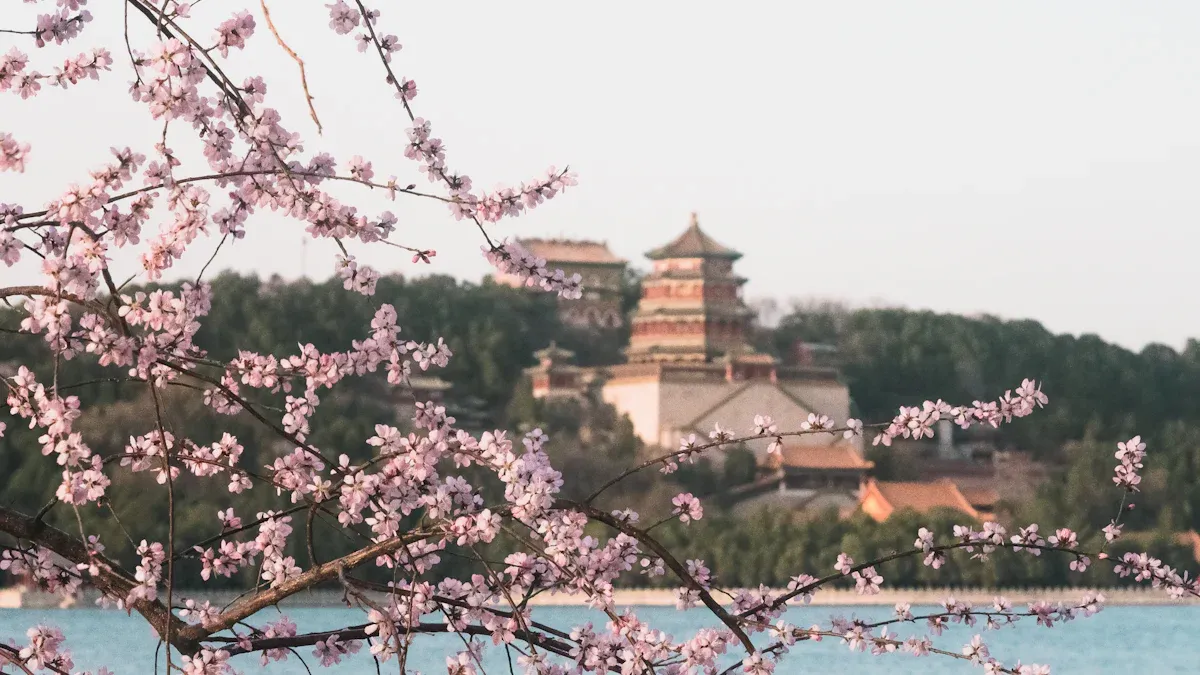 Summer Palace