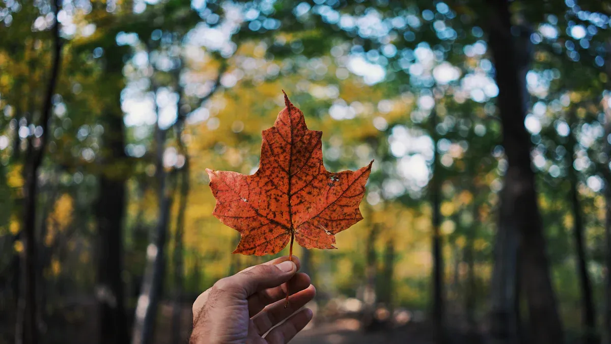 Les nouveautés Instagram à découvrir cet automne