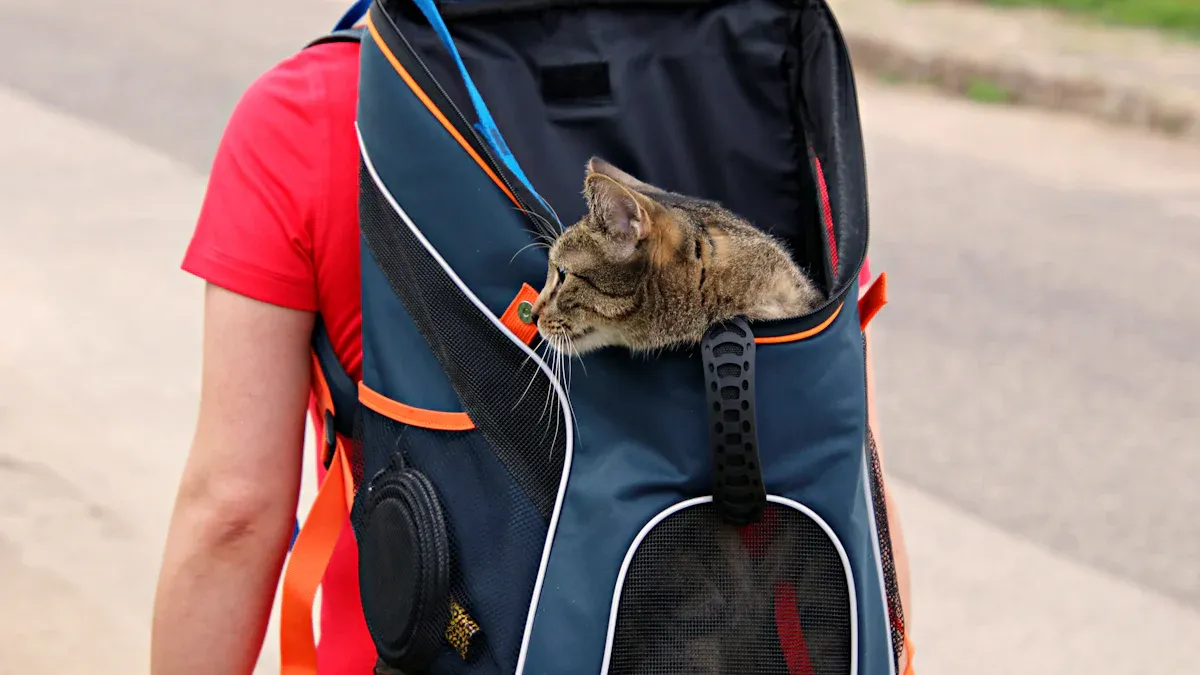 Top Cat Travel Crates for Stress-Free Trips in 2025