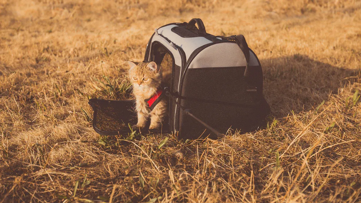 Top 3 Cat Travel Crate Picks for 2025