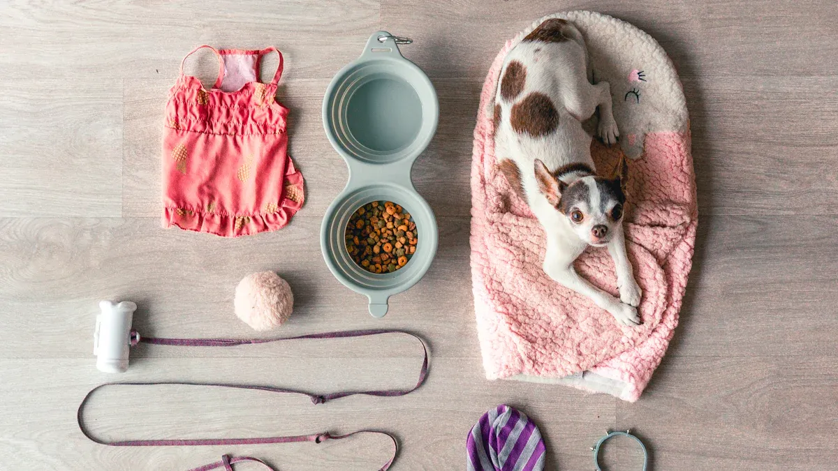 Cat Travel Essentials