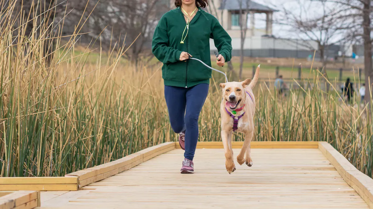 Best Dog Running Leash: Everyday or Run-Only?