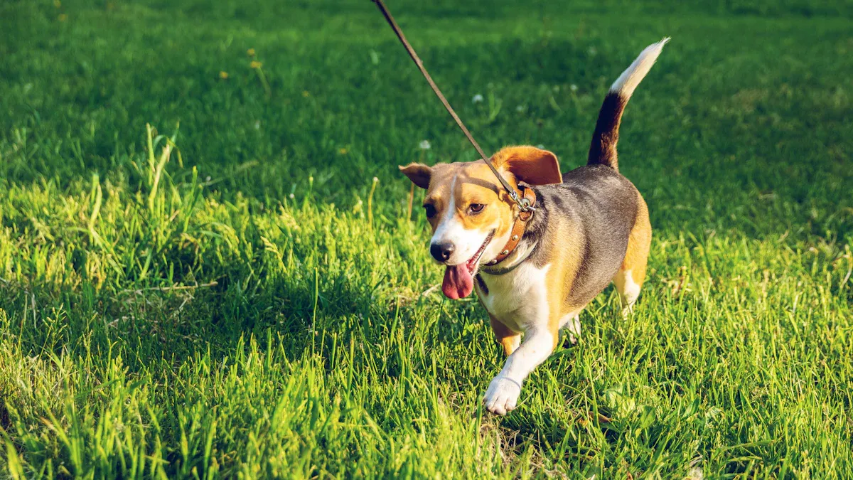 No Pull Features and Control Points Explained