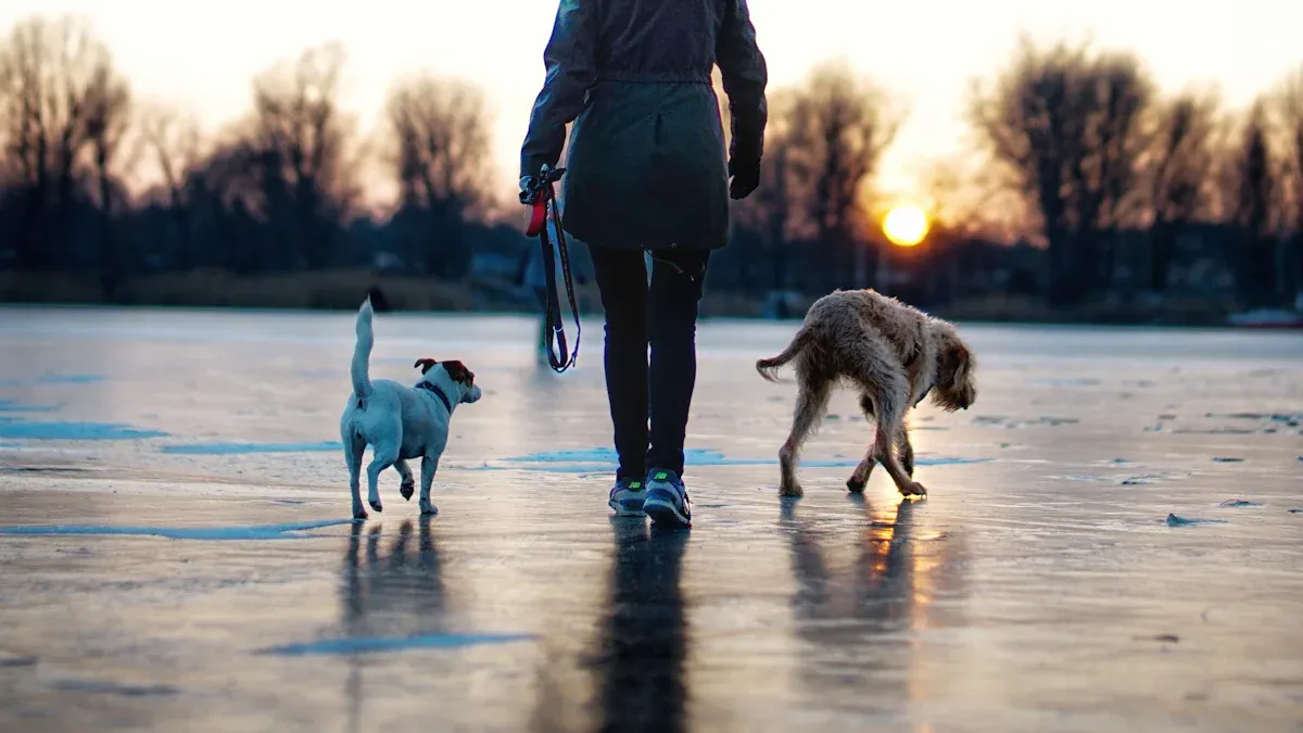 Handling and fit for safer walks
