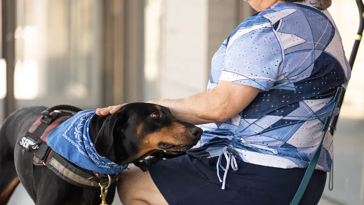 Key Features for Daily Work