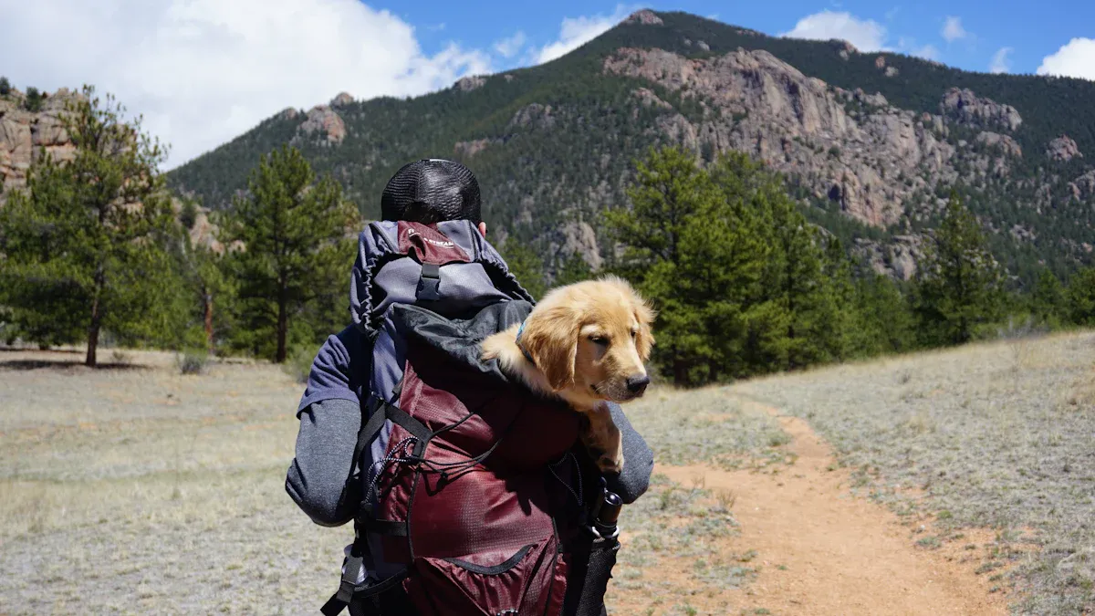 Dog Packing List and Pre-Flight Checklist