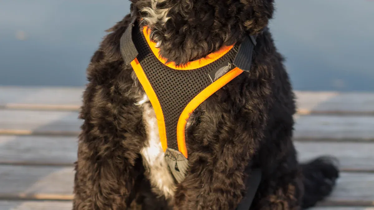 Key features for comfort fit and adjustability